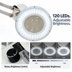 Dimmable LED Clamp Magnifying Lamp